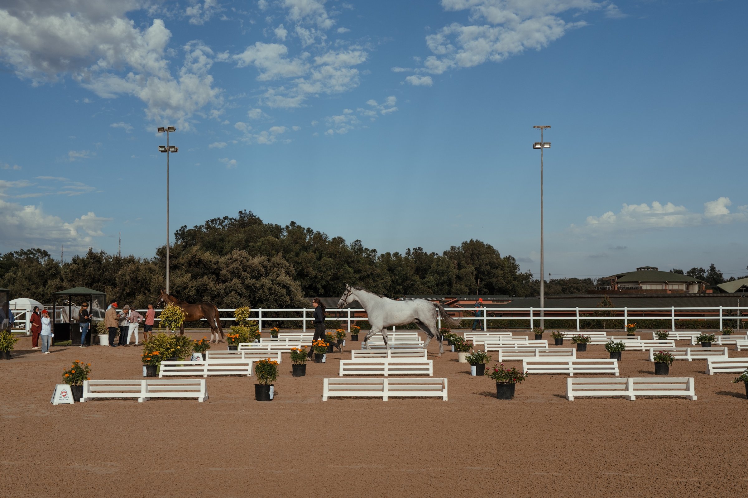 Morocco Royal Tour, Rabat 2026 – Dar Es Salam arena